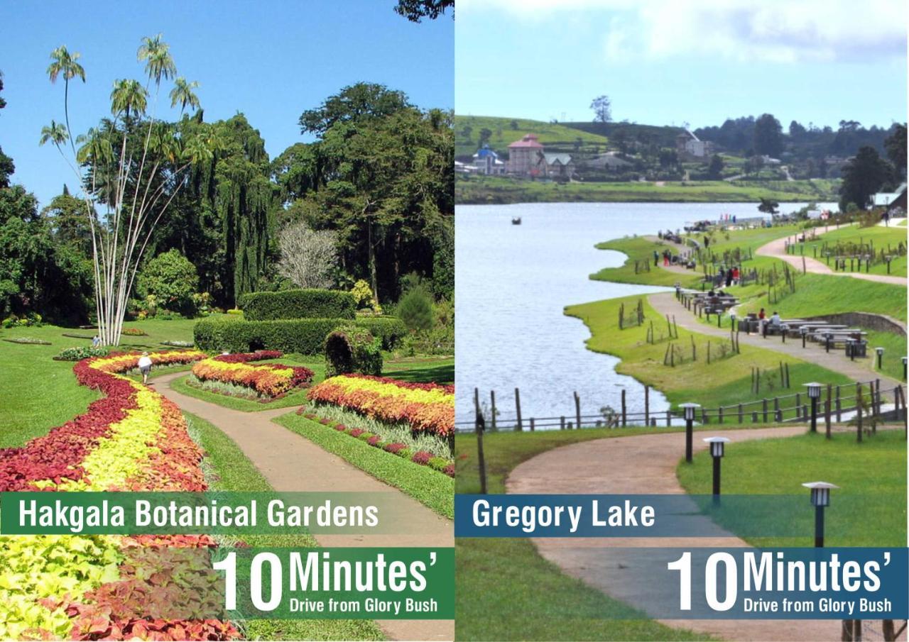 Glory Bush Boutique Villa Nuwara Eliya Eksteriør bilde