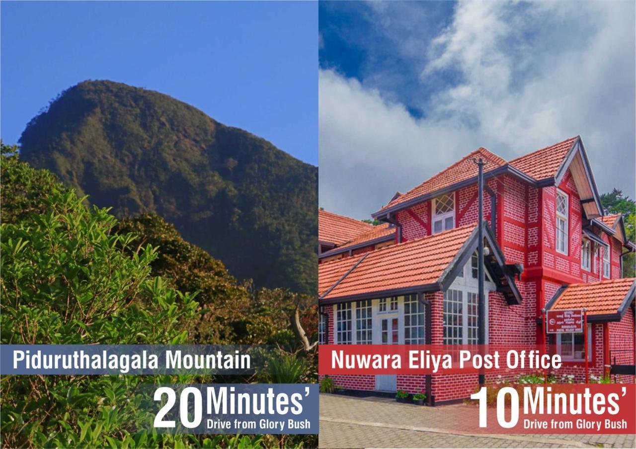Glory Bush Boutique Villa Nuwara Eliya Eksteriør bilde