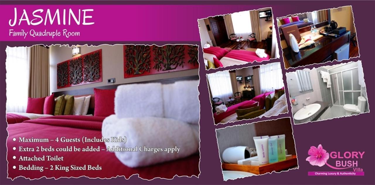 Glory Bush Boutique Villa Nuwara Eliya Eksteriør bilde