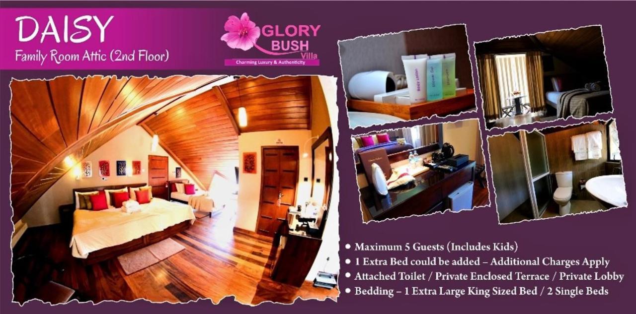 Glory Bush Boutique Villa Nuwara Eliya Eksteriør bilde